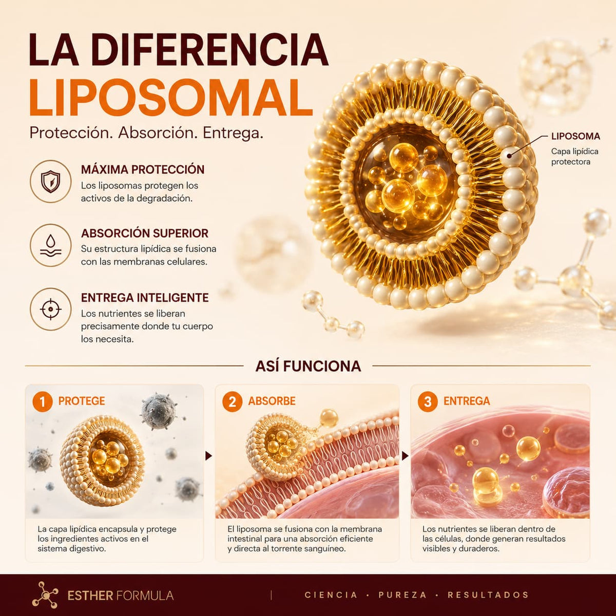 Tiras de Glutatión Liposomal